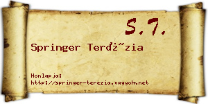 Springer Terézia névjegykártya